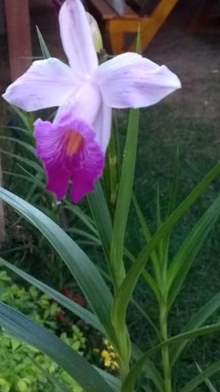  Apto térreo com área privativa !