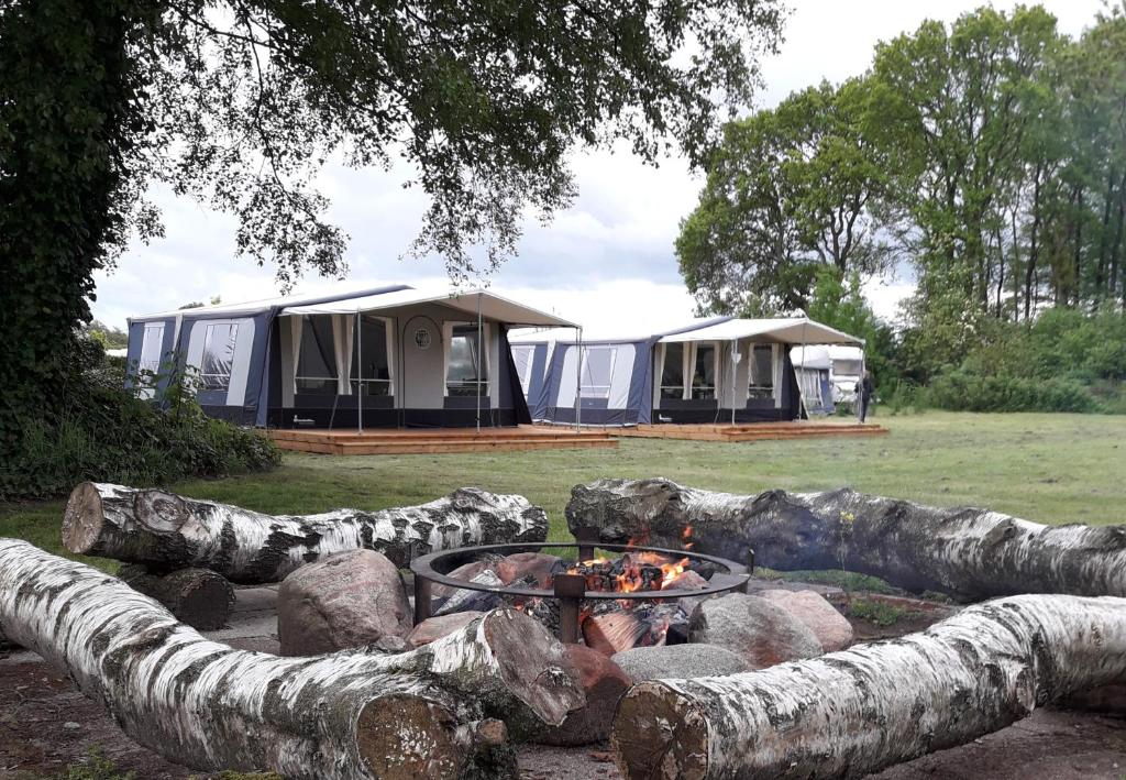 un campeggio con buca per il fuoco e tende di Asaa Camping & Cottages ad Aså
