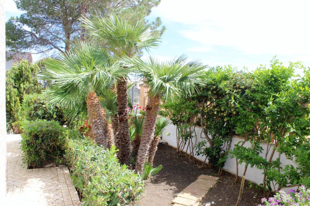 a group of palm trees in a garden at B&B Villa Bea in San Vito lo Capo