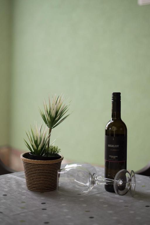 Nápoje v ubytování Esther Apartment