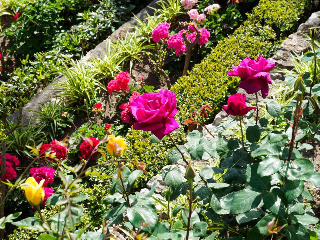 a garden filled with colorful flowers and plants at Hotel Sirius in Taormina