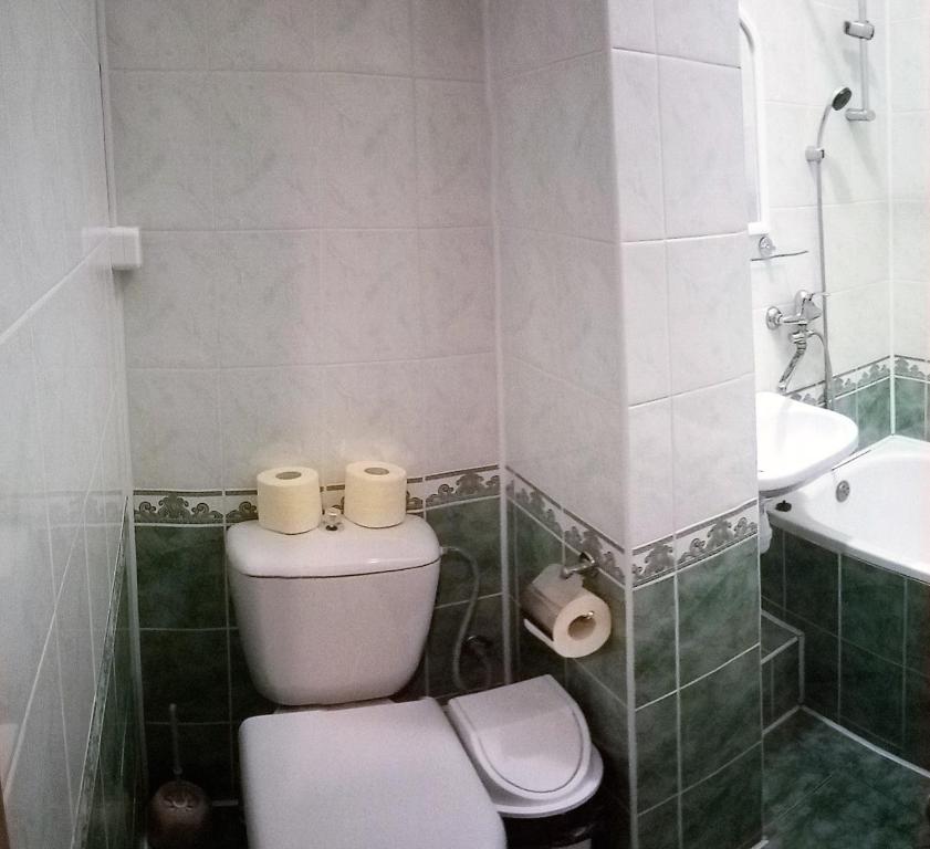 Koupelna v ubytování Сонячна