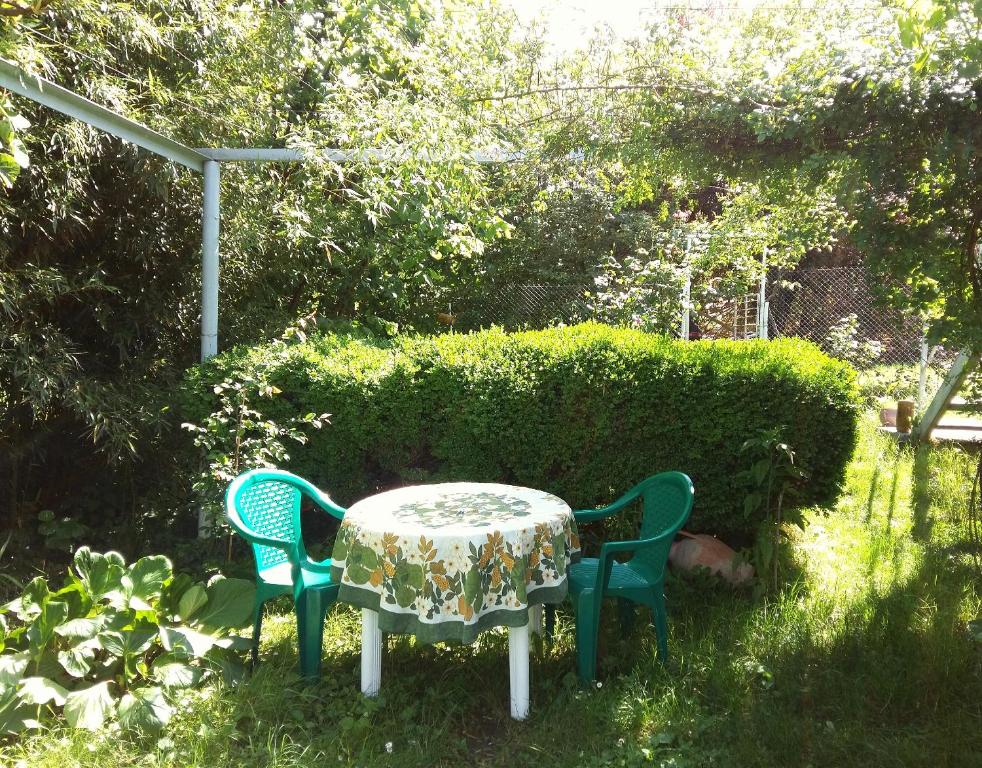 Zahrada ubytování Valiko house in Telavi
