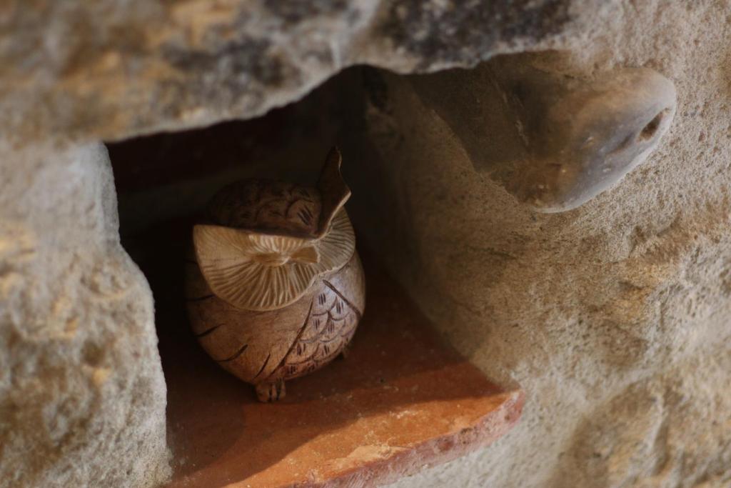Fotografie z fotogalerie ubytování L'Albane Chambres d'hôtes v destinaci Lauraguel