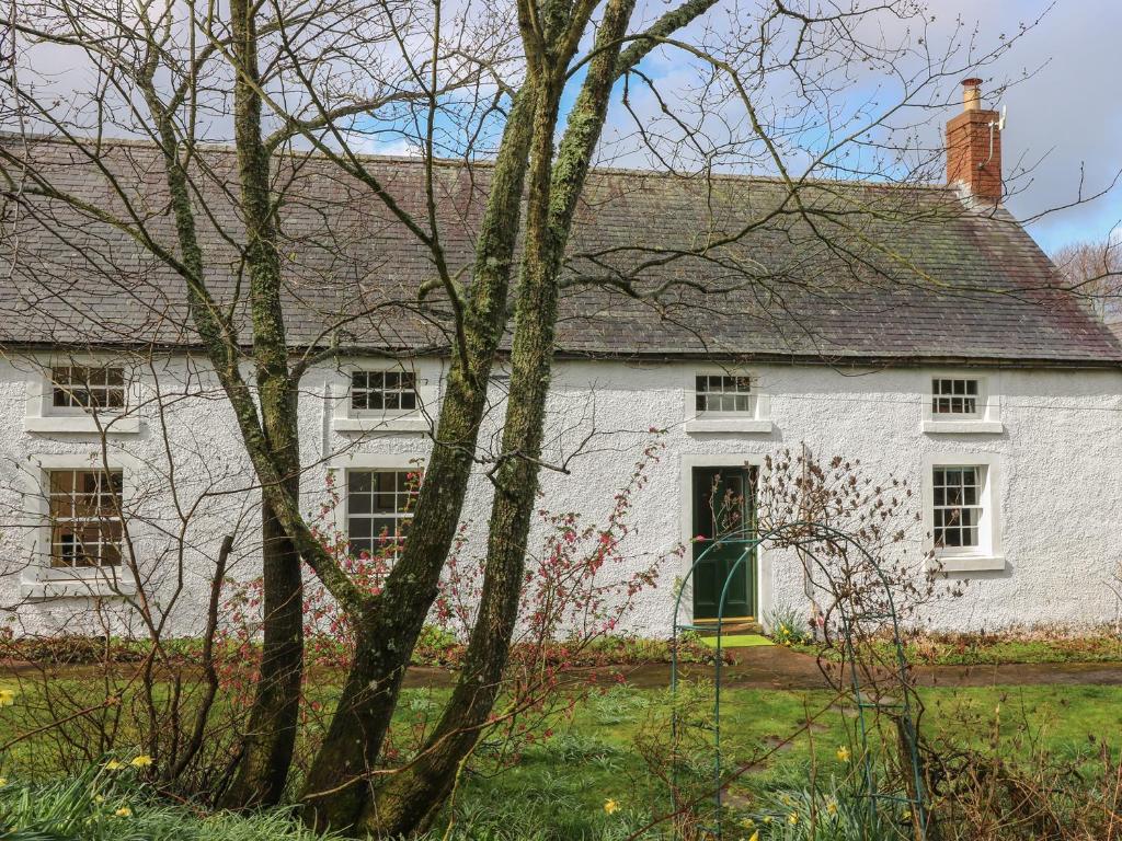 The Cottage, Polwarth Crofts في دَنز: بيت ابيض امامه شجره