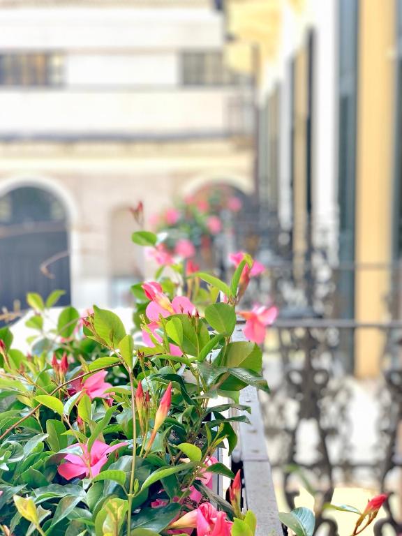 Zahrada ubytování Bue Nero Suites Verona