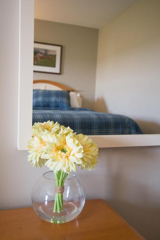 Blue Gate Garden Inn photo