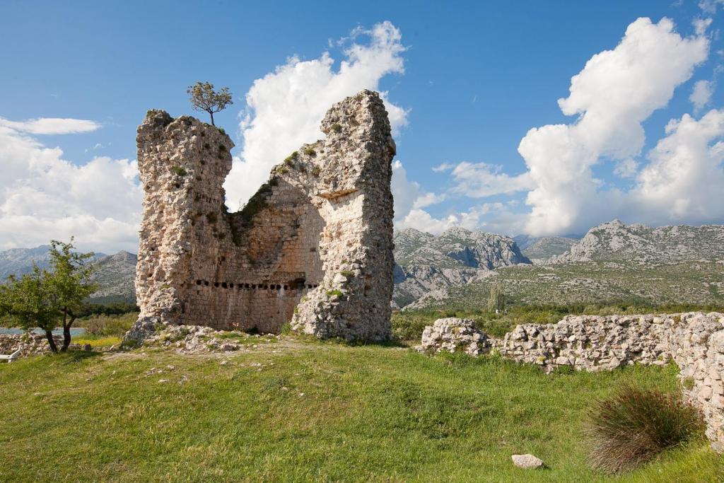 Příroda nedaleko apartmánu