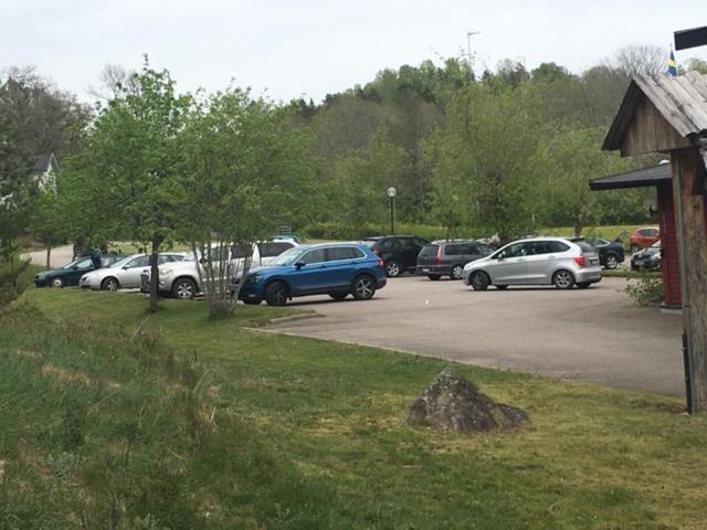 Příroda nedaleko hotelu