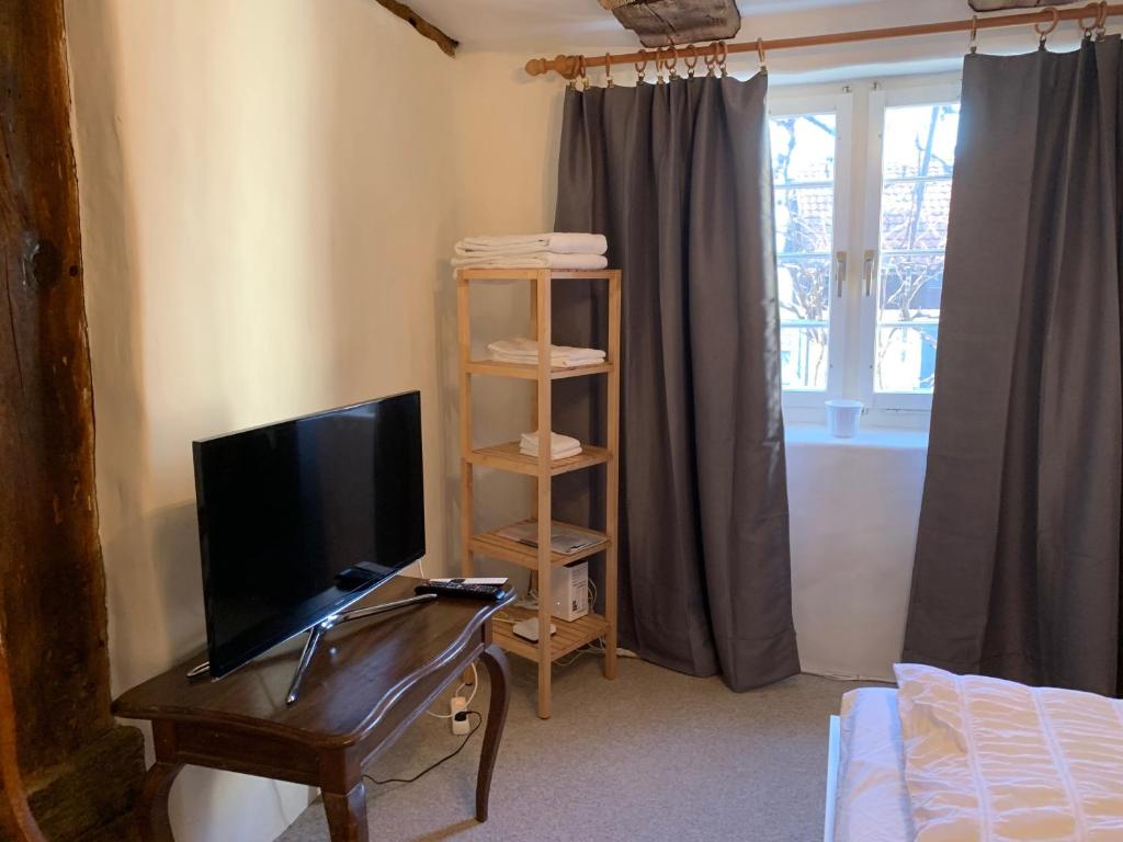 TV a/nebo společenská místnost v ubytování Guesthouse Les Mignardises
