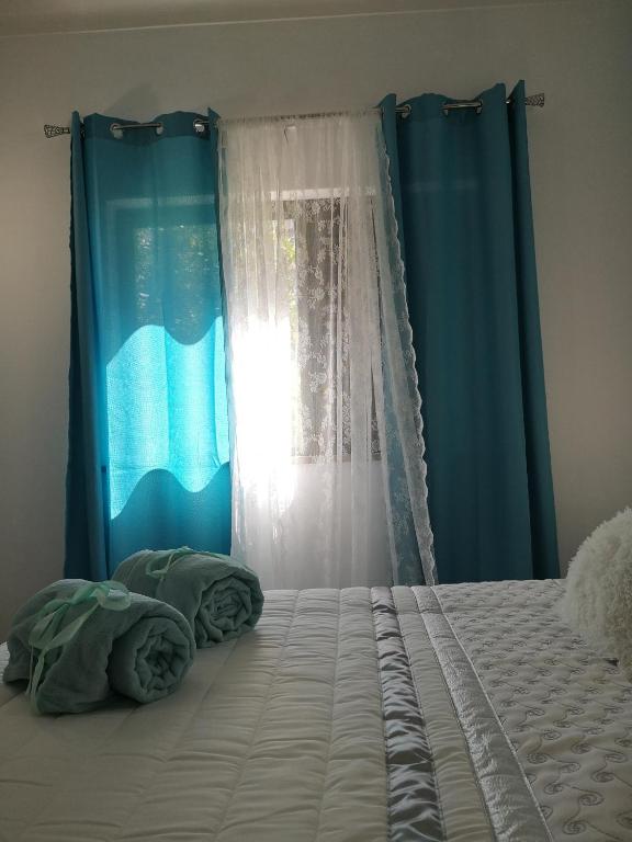 Nature Guesthouse - 12