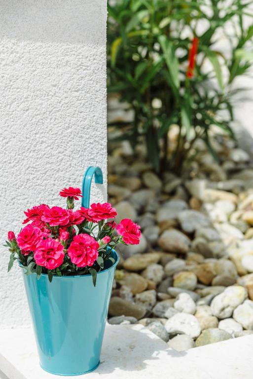 Zahrada ubytování Apartments Villa Dalmatia