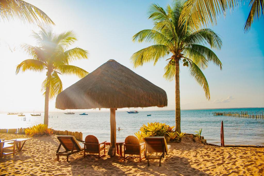 a beach with chairs and palm trees and the ocean at Pousada Ponta do Muta in Barra Grande