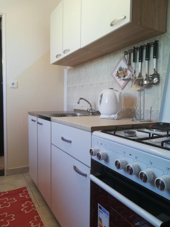 Kuchyňa alebo kuchynka v ubytovaní Apartman Aria & Amadea