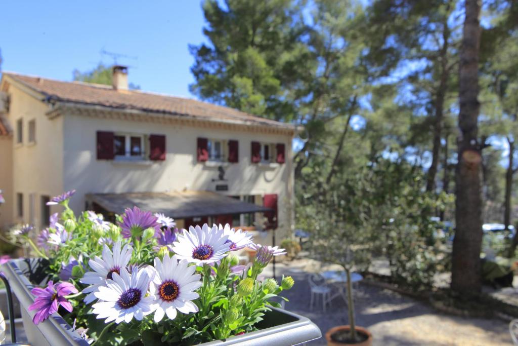 Hôtel Le Mas des Ecureuils - Resim 34