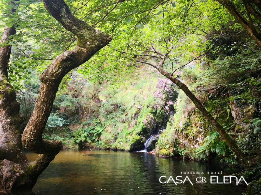 a river in a forest with trees and a waterfall at Casa Elena Turismo Rural in Reinante
