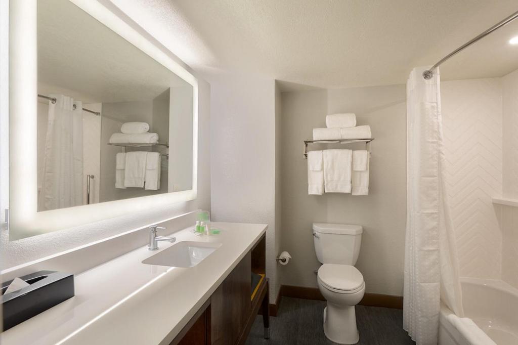 Holiday Inn & Suites Orlando SW - Celebration Area, an IHG Hotel - Sala Matrimoniali Con Due Letti Queen