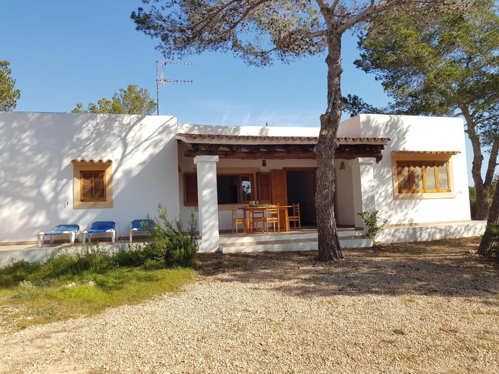 een uitzicht op een wit huis met een boom bij Can Tauet de ses Roques in Playa Migjorn