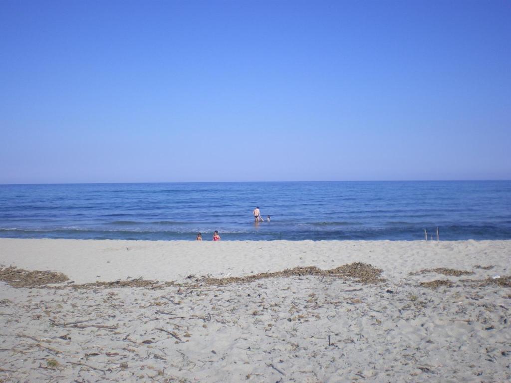 a group of people walking on the beach at gîtes de corse in Ventiseri