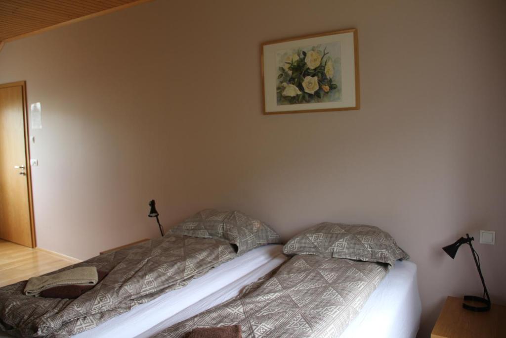 Guesthouse Hof in Vatnsdalur - Twin Room Met Gedeelde Badkamer