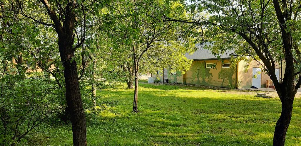 Vonkajšia záhrada v ubytovaní Malowane Domy