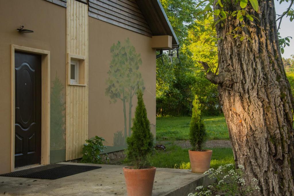 Vonkajšia záhrada v ubytovaní Malowane Domy