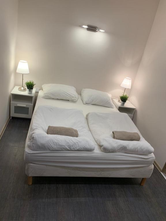 Postel nebo postele na pokoji v ubytování Silver Lounge Siófok