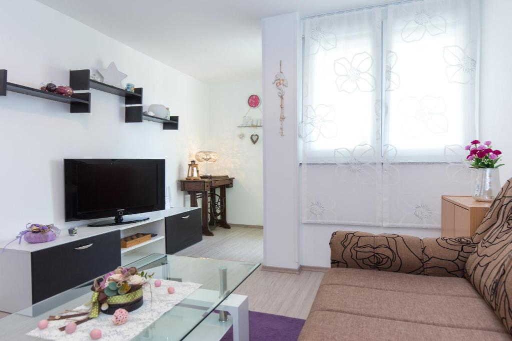 TV a/nebo společenská místnost v ubytování Apartmani Ana