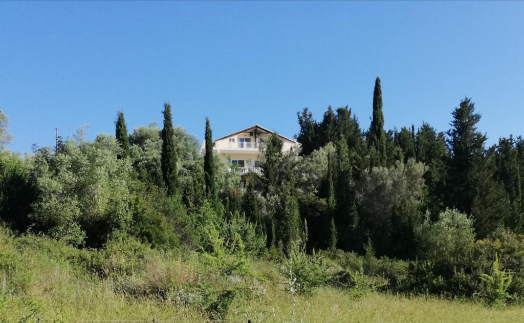 a house on top of a hill with trees at Kallimos in Vasiliki