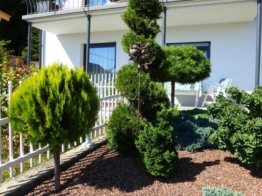 Vonkajšia záhrada v ubytovaní Appartements Kronig
