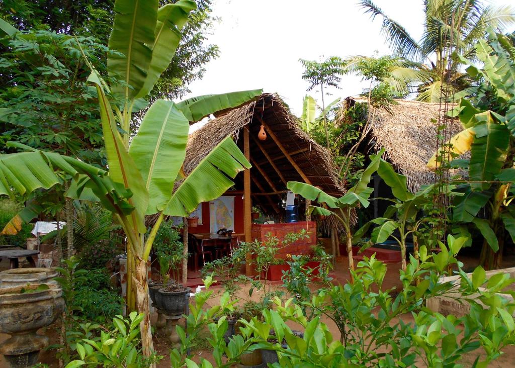 Zahrada ubytování HOMESTAY CAMPING ANURADHAPURA