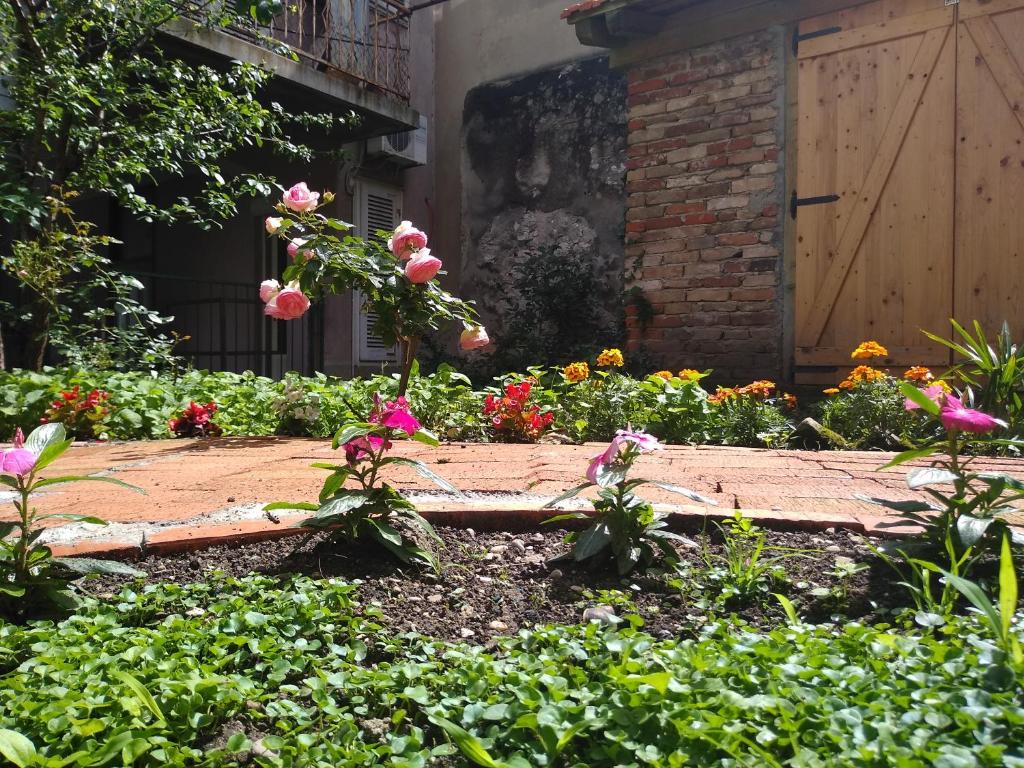 Ogród w obiekcie Rooms Gero