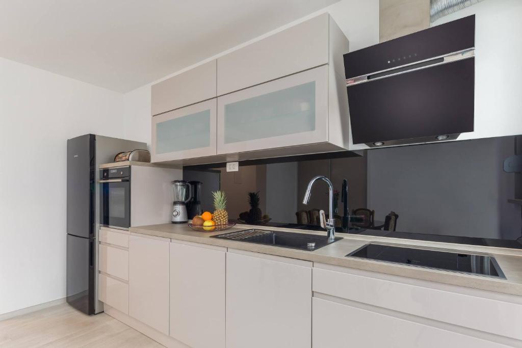Kuchyňa alebo kuchynka v ubytovaní Apartment Apollo 3
