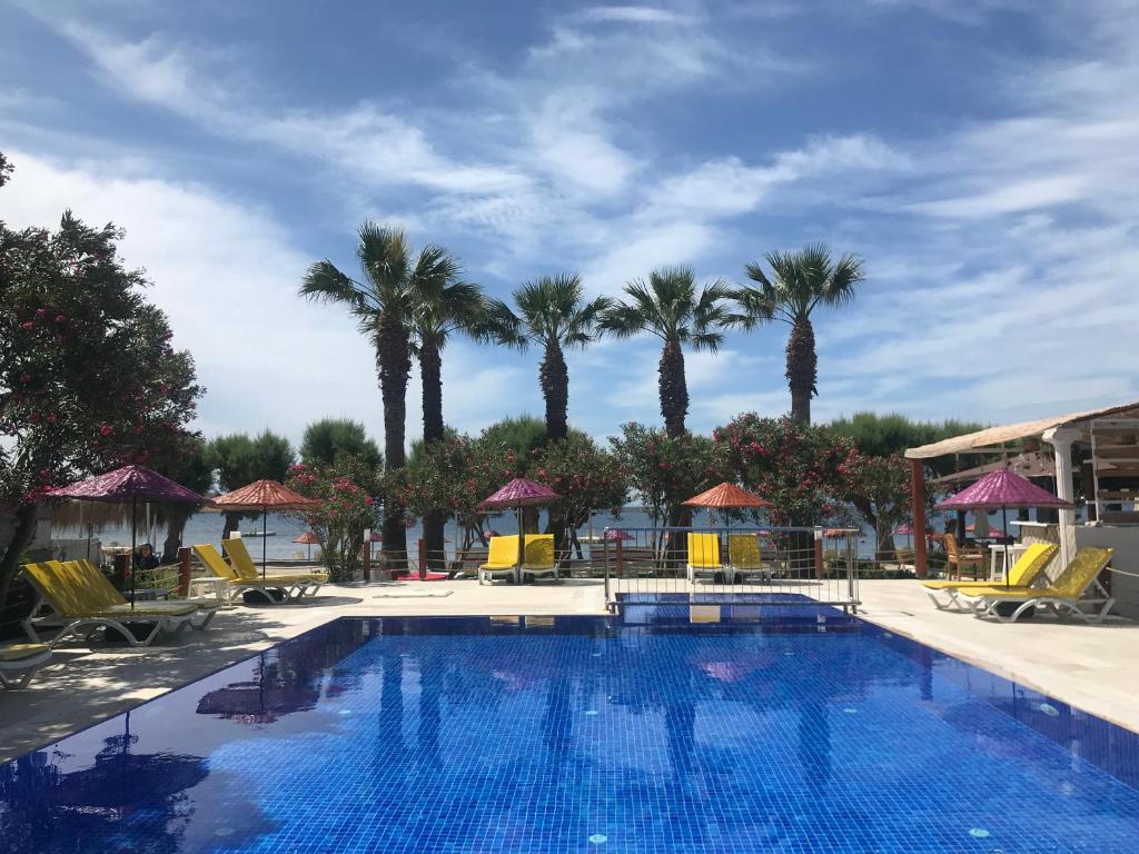 a large swimming pool with chairs and palm trees at Yilmaz Hotel in Ortakent