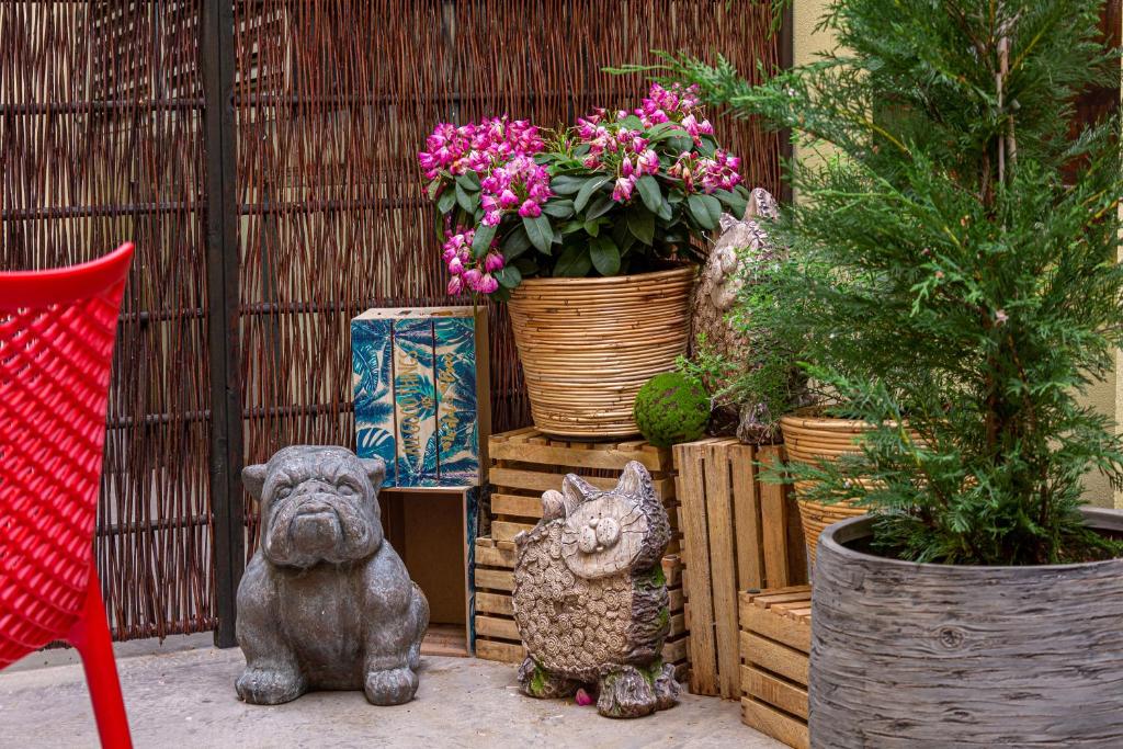 Salvator Boutique Hotel vegan-friendly - Resim 38