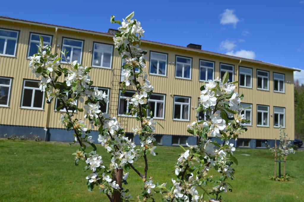 Zahrada ubytování Kalvs Skolhus