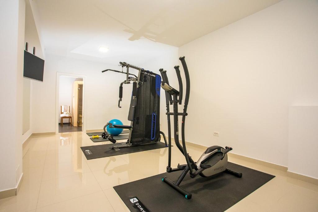 Posilňovňa alebo fitness centrum v ubytovaní Villa Zora -luxurious villa with heated pool, sauna, 4 bedrooms, 10 persons max