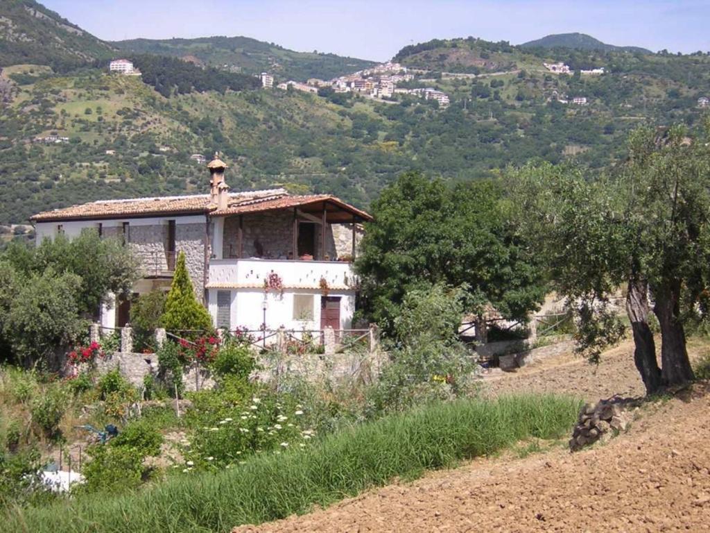 a house on the side of a hill at Agriturismo Acampora in Cerchiara di Calabria