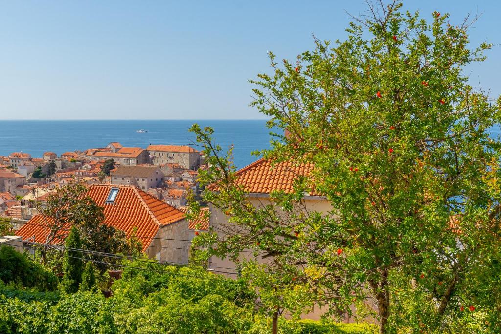 Fotografia z galérie ubytovania Hedera Estate, Hedera A18 v Dubrovníku