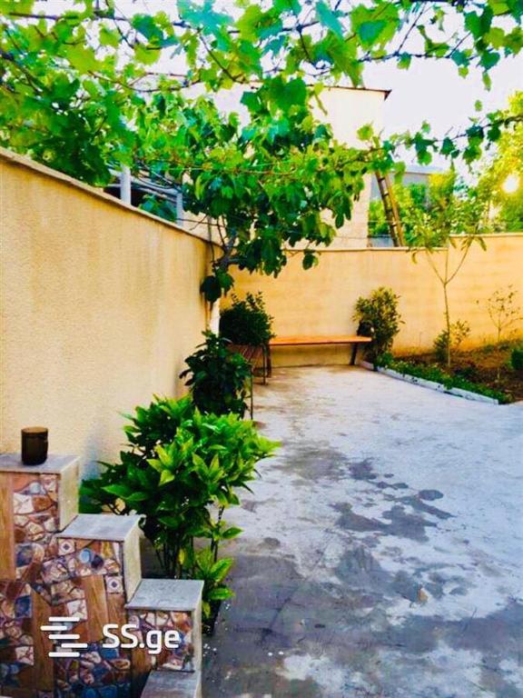Fotografie z fotogalerie ubytování Lali v destinaci Tbilisi City