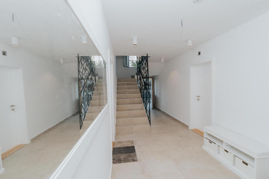 Apartments Trifunovic Old Town - 10