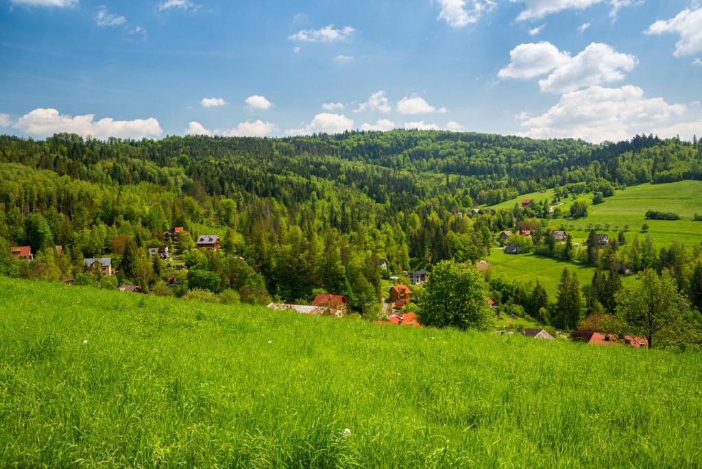 Příroda nedaleko apartmánu