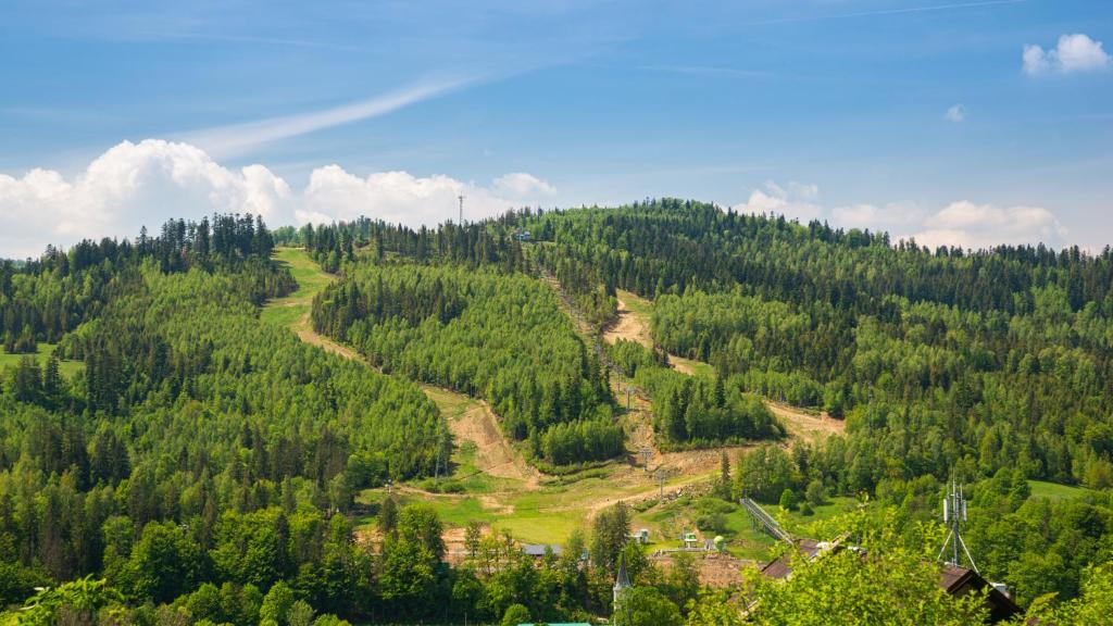 Příroda nedaleko apartmánu