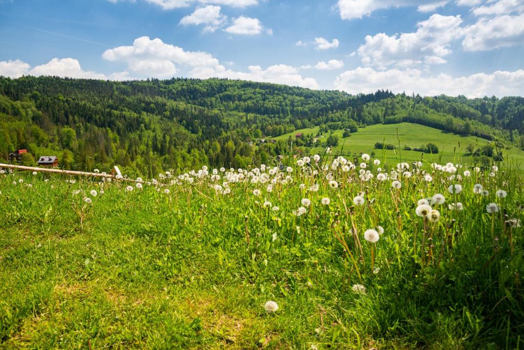 Příroda nedaleko apartmánu