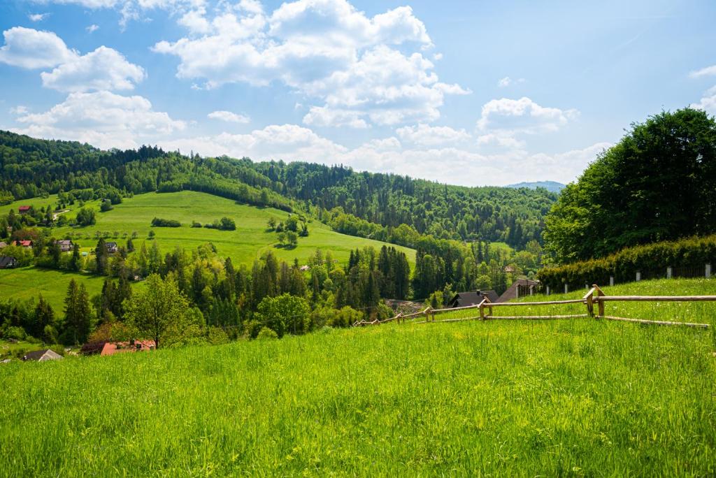 Příroda nedaleko apartmánu
