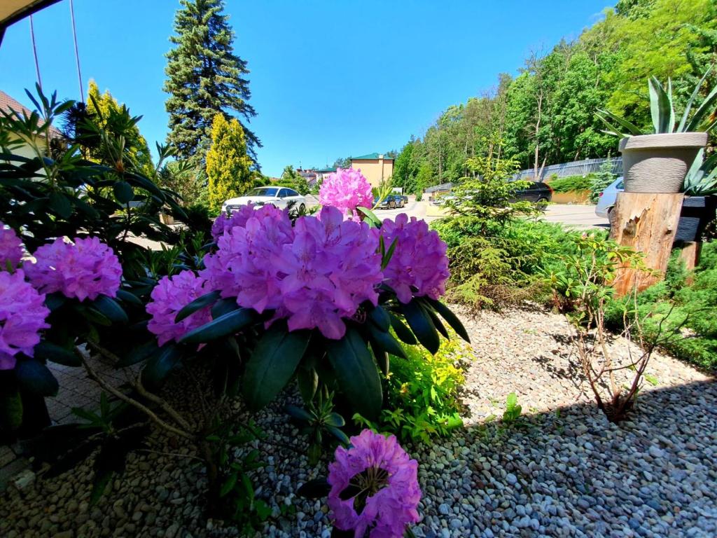 Vonkajšia záhrada v ubytovaní Hotel Mazuria Country & SPA