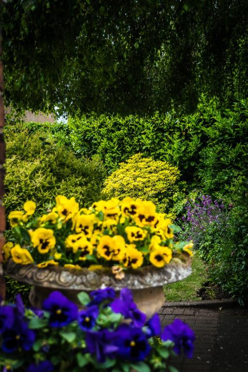 The Cottage Hotel - Resim 31