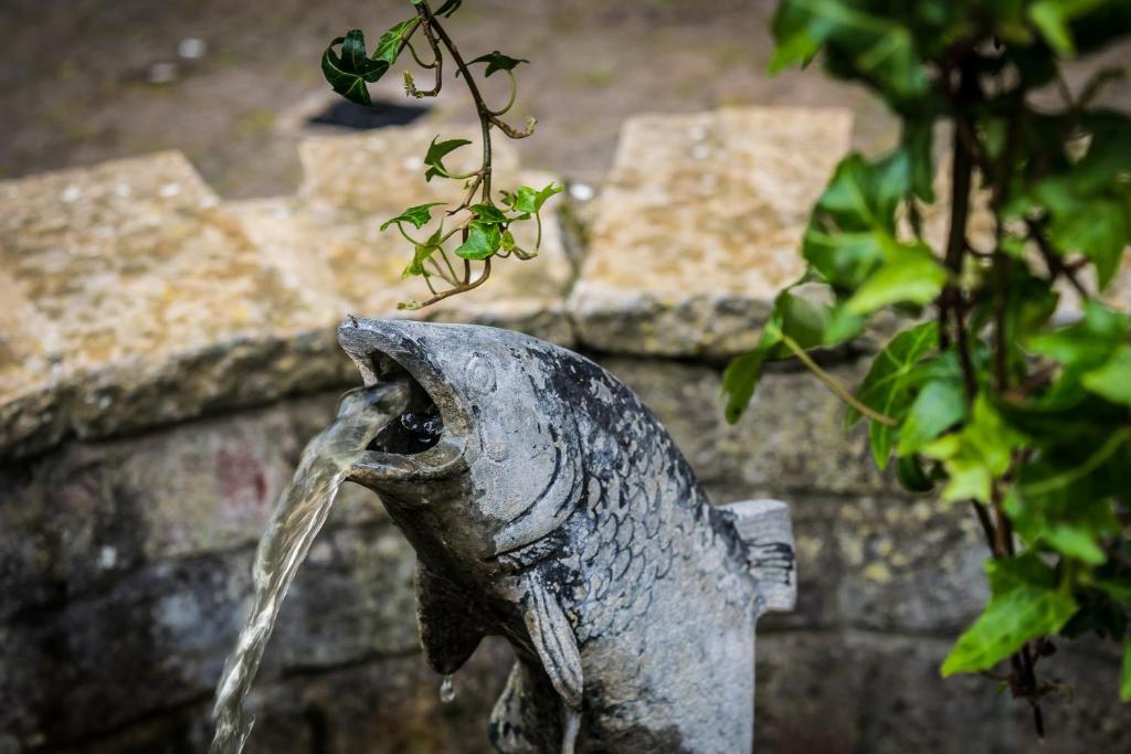 The Cottage Hotel - Resim 27