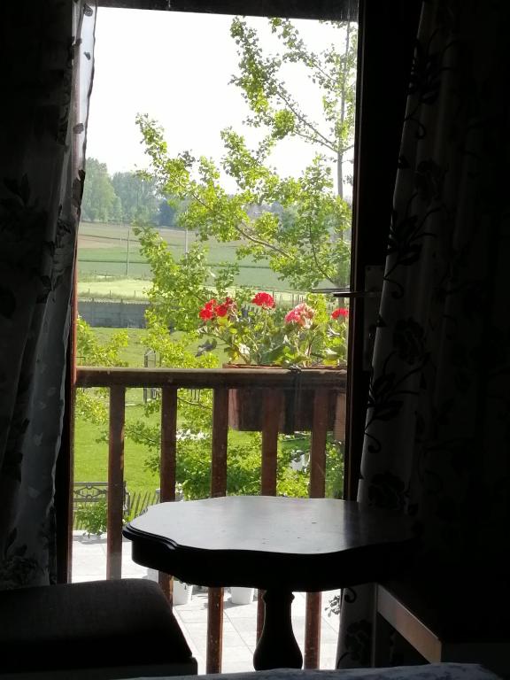 Zahrada ubytování Johan's Lodge