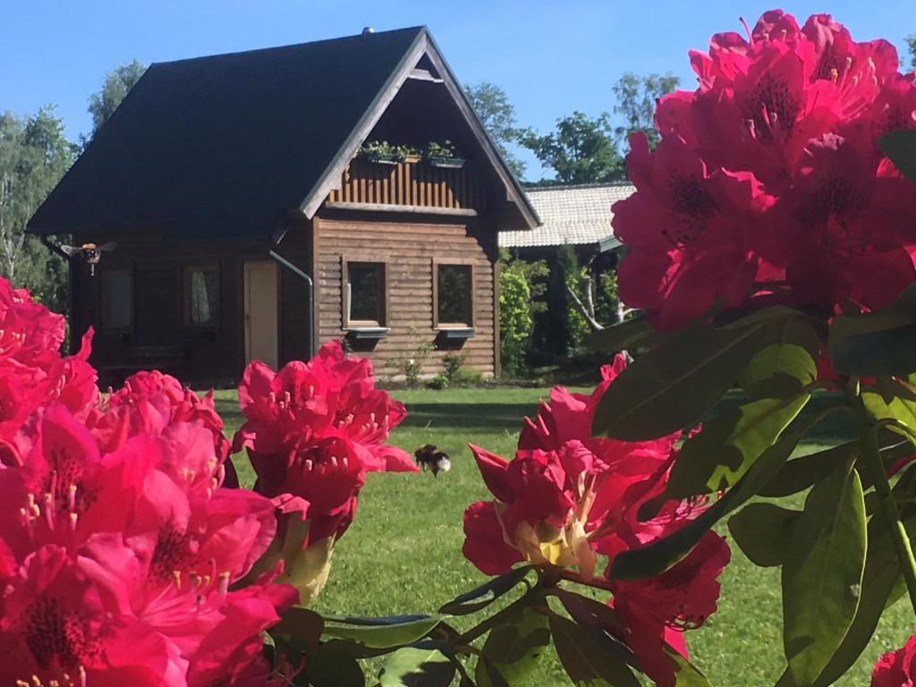 a house with pink flowers in front of it at Melluzi chalet in Jūrmala